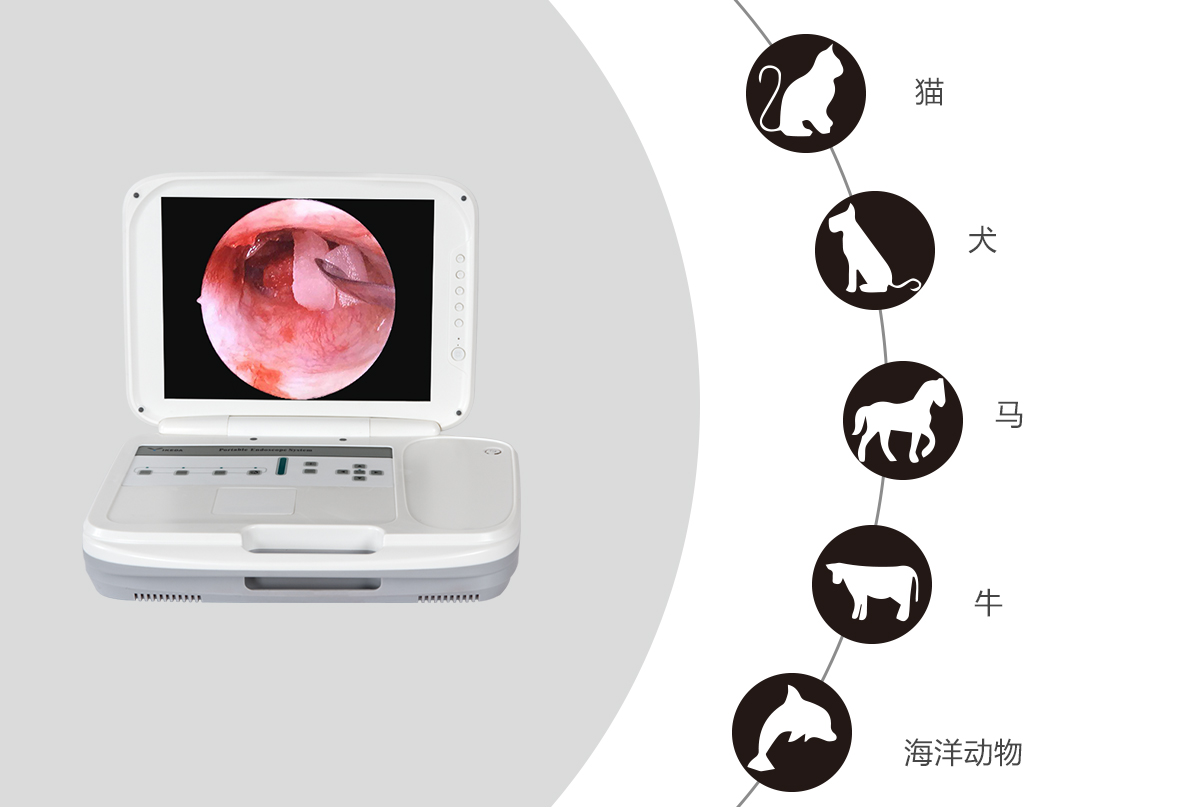 內(nèi)窺鏡攝像機(jī)的應(yīng)用領(lǐng)域有哪些？