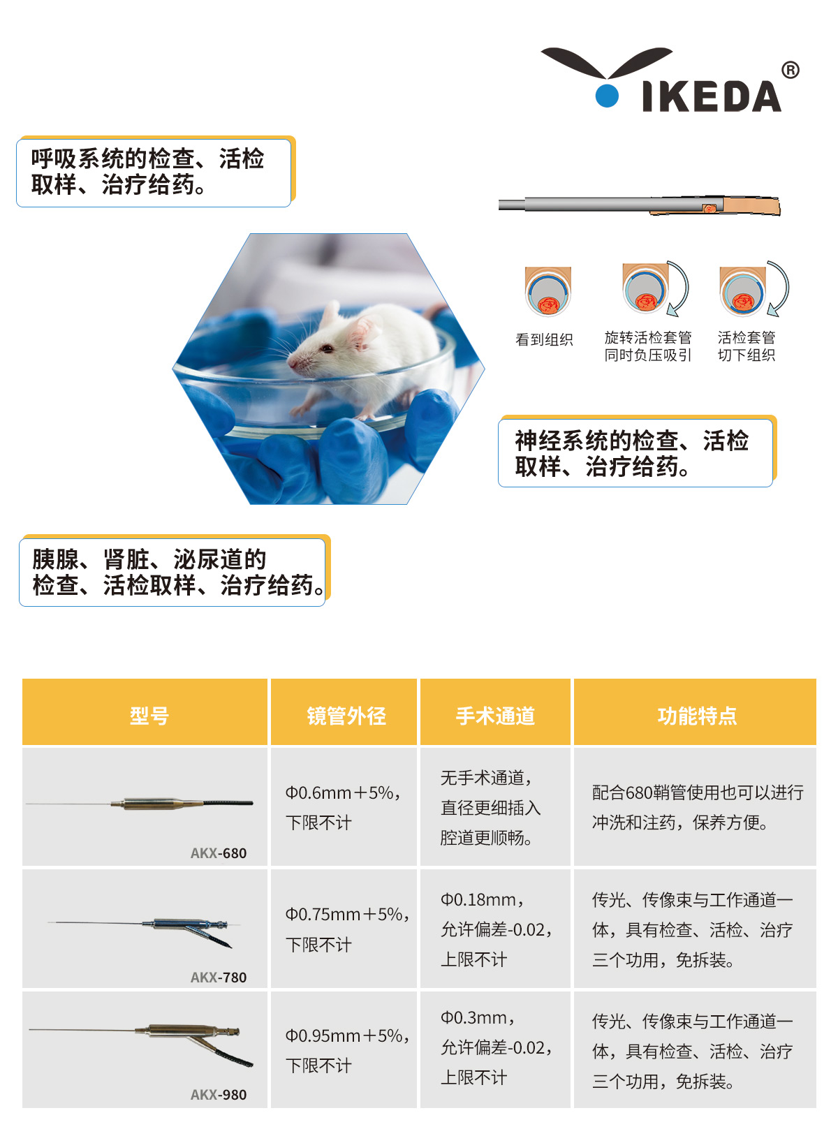 益柯達大、小鼠腸鏡解決方案